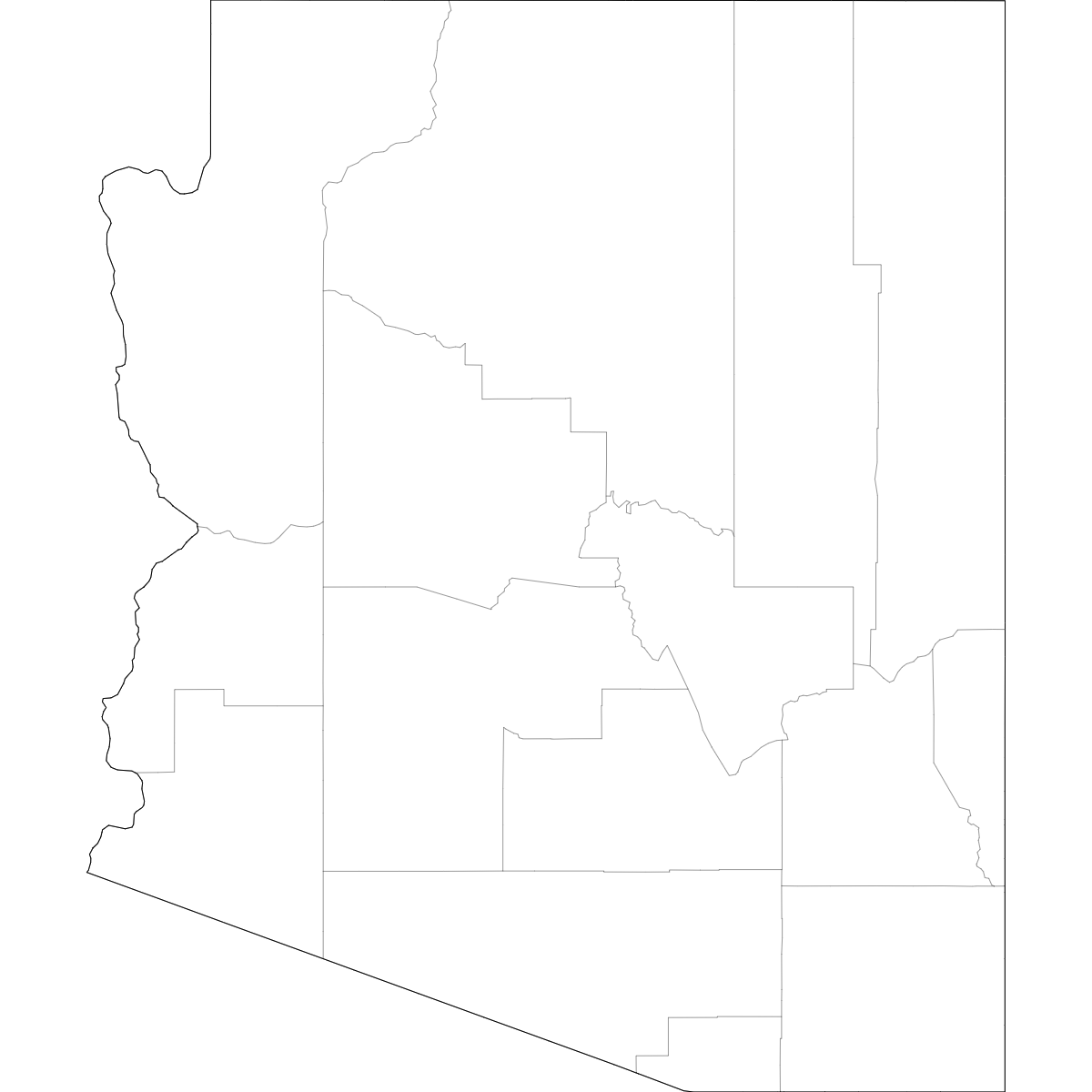Wireframe Map of Arizona Counties
