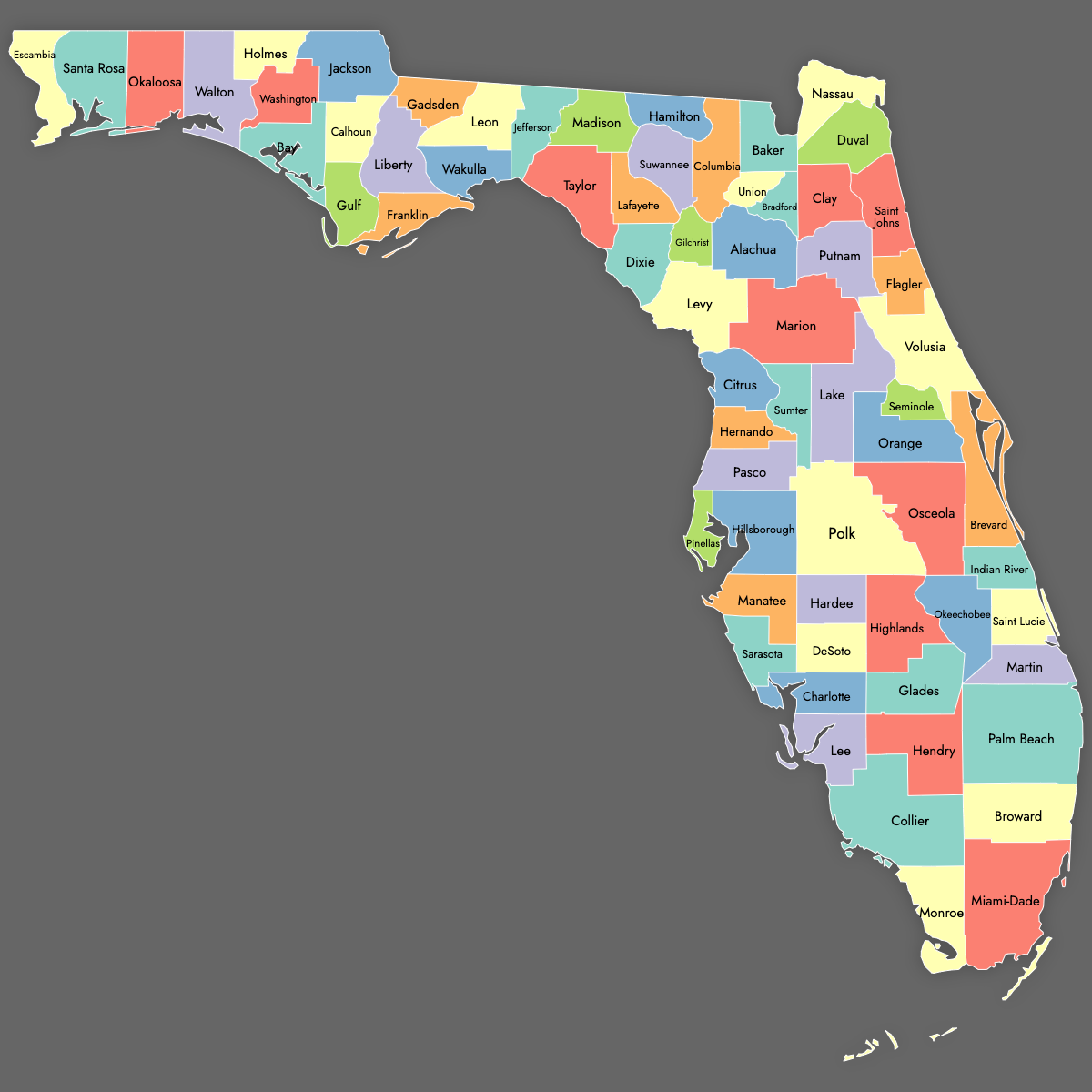 Custom Map of Florida Counties with Labels (Dark Theme)