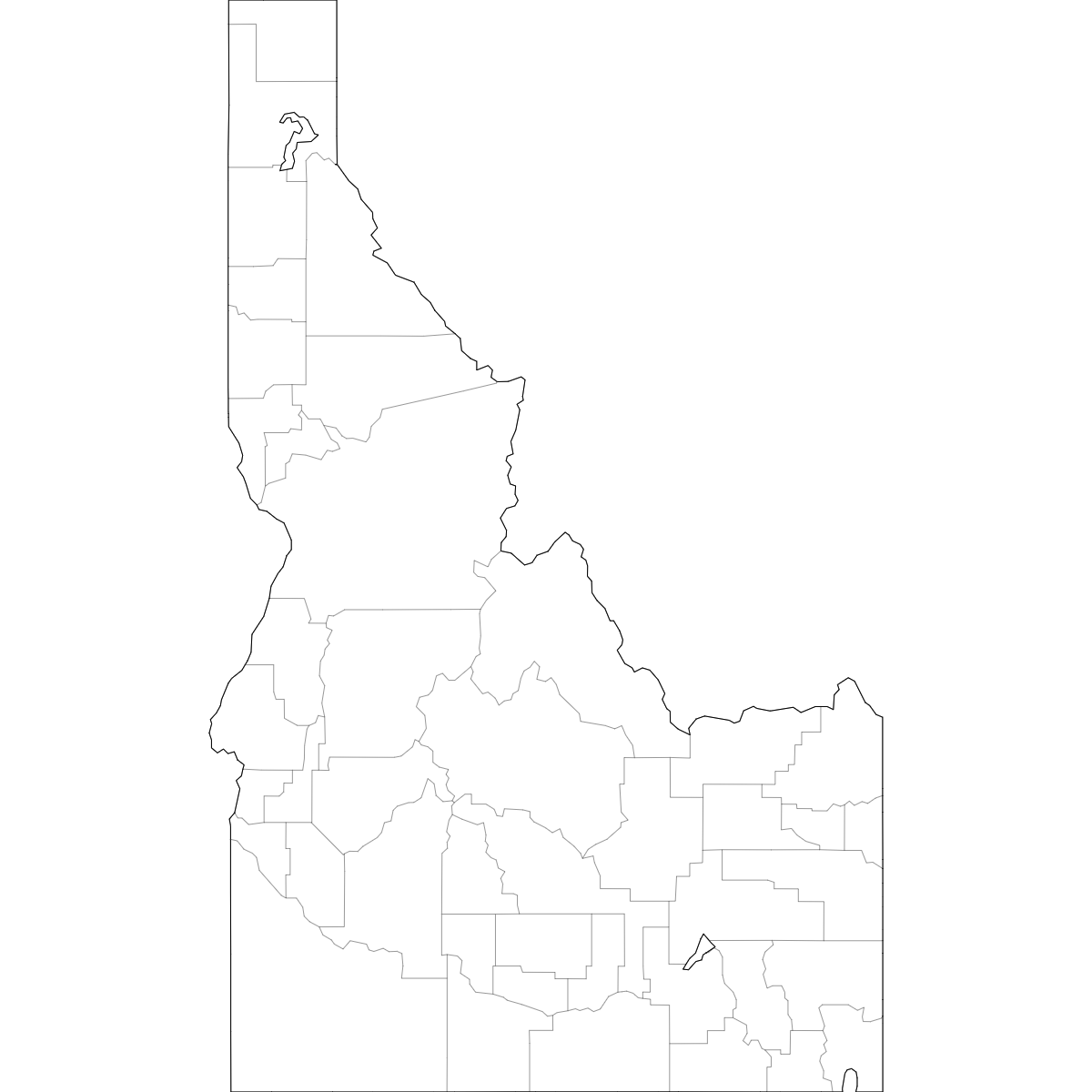 Wireframe Map of Idaho Counties
