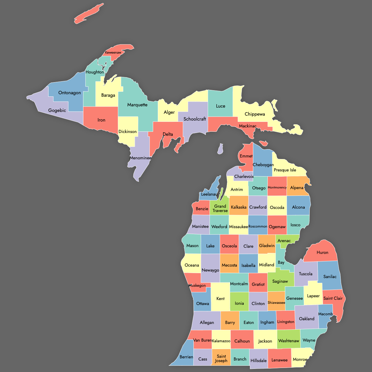 Custom Map of Michigan Counties with Labels (Dark Theme)
