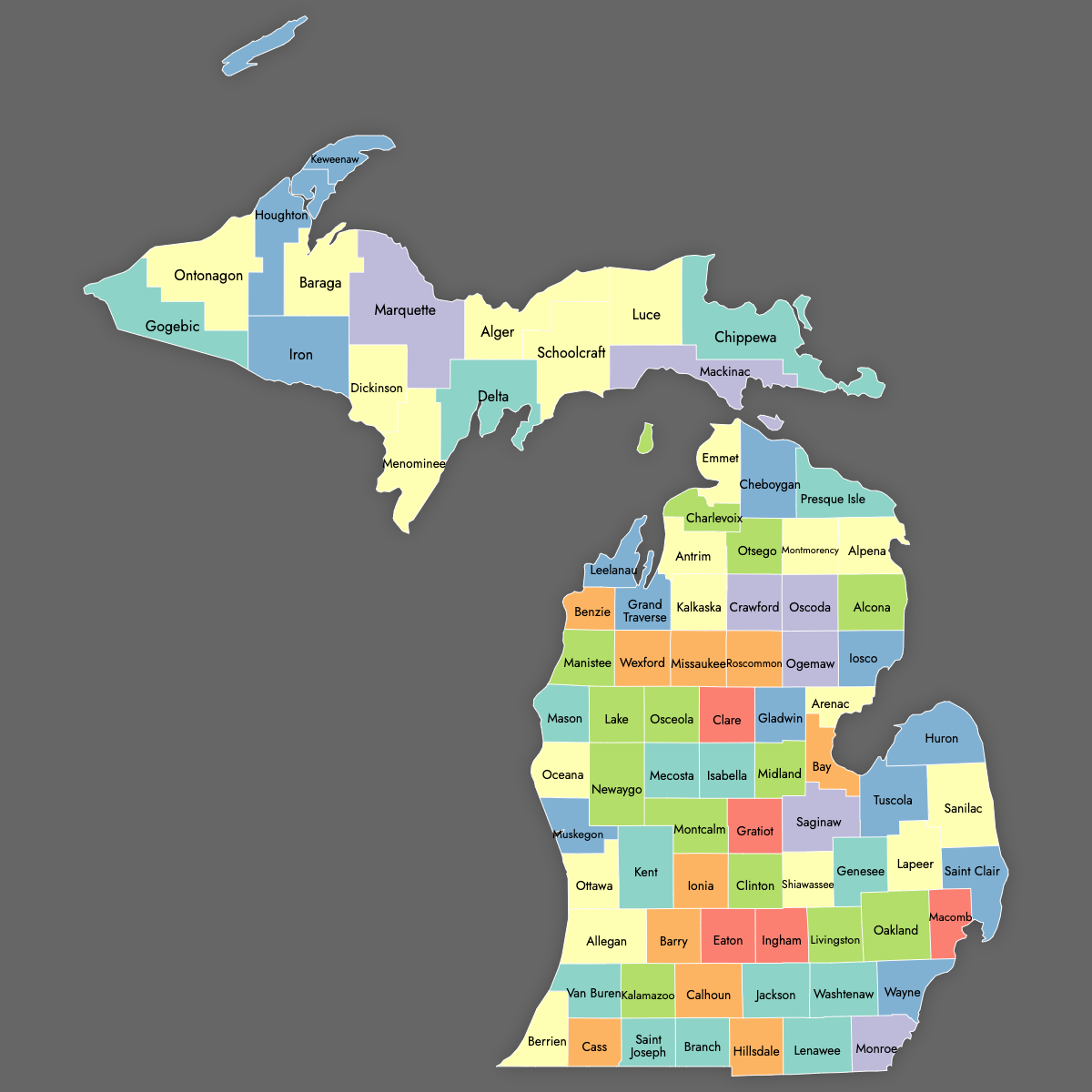 Custom Map of Michigan Counties With Labels