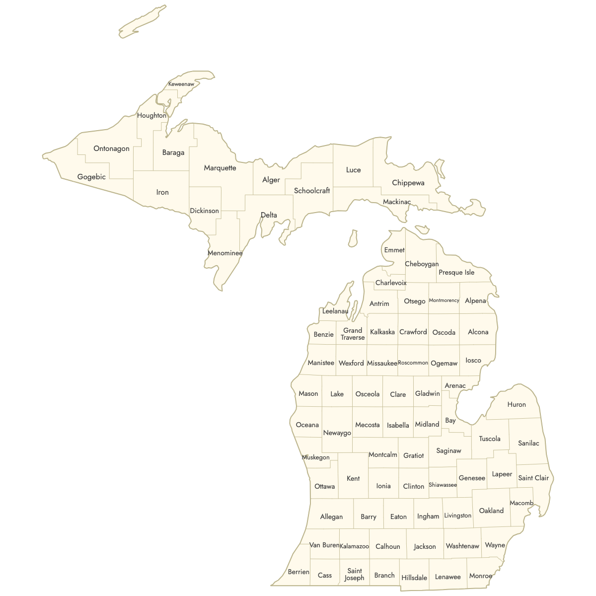 Unstyled Map of Michigan Counties With Labels