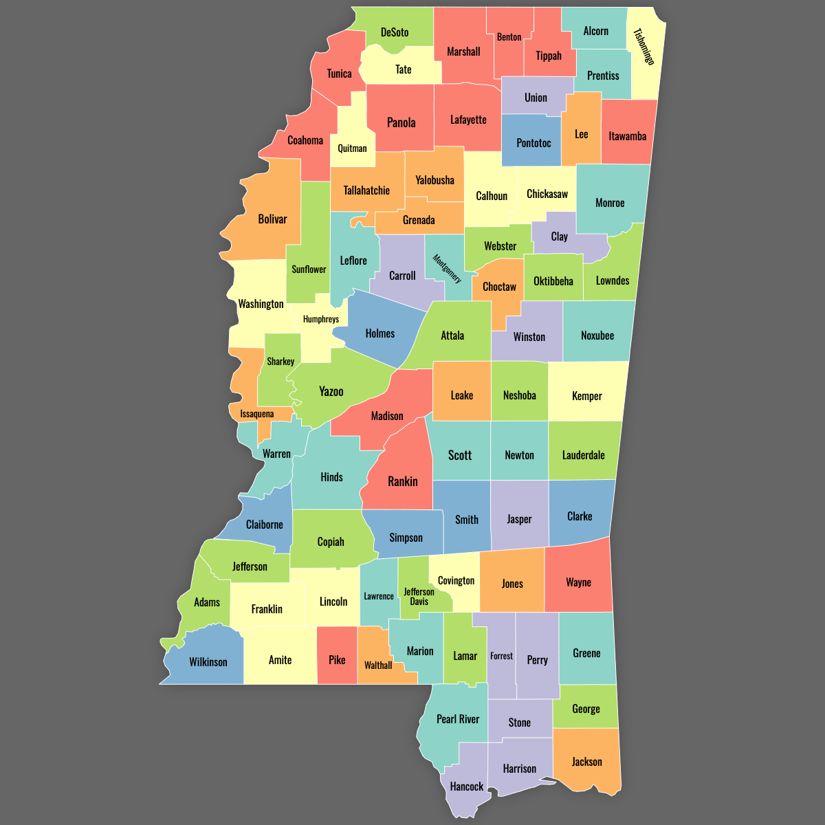Custom Map of Mississippi Counties With Labels