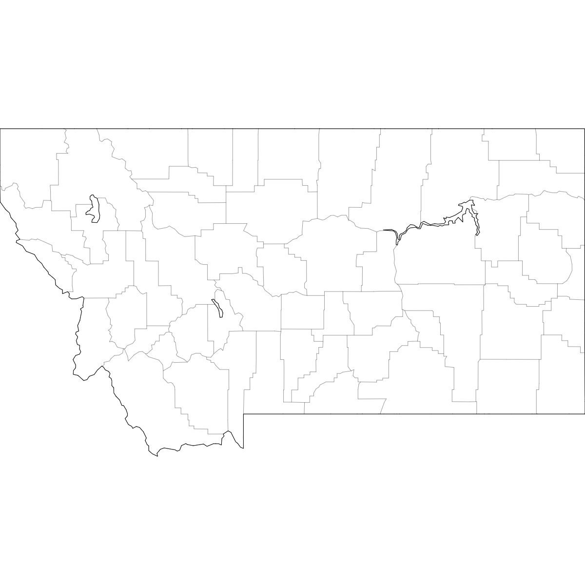 Wireframe Map of Montana Counties