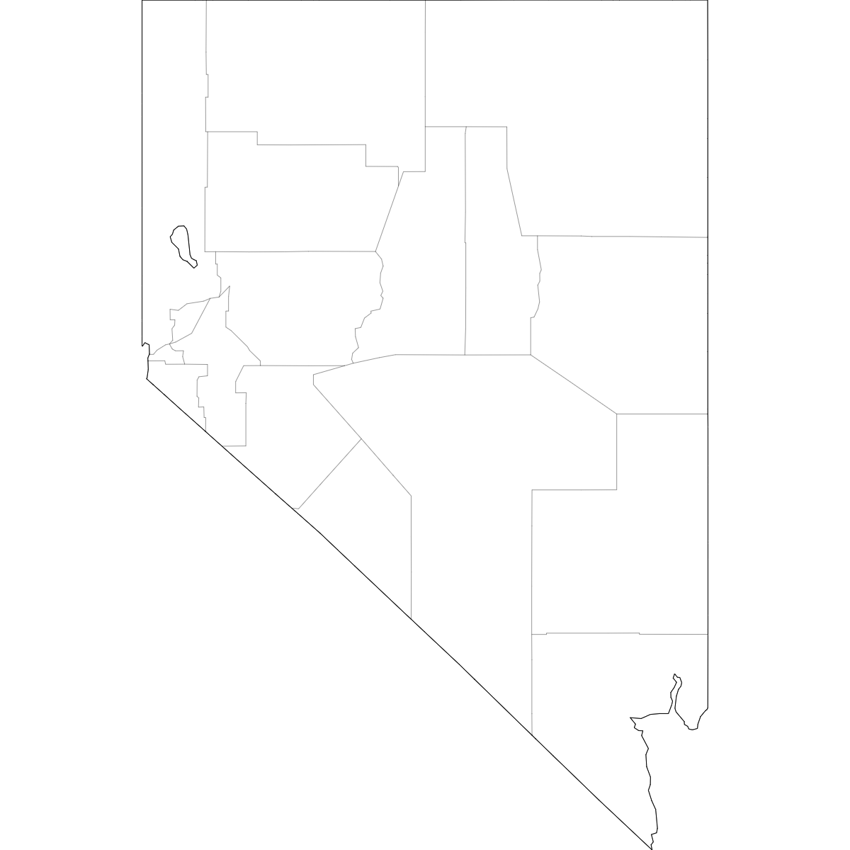 Wireframe Map of Nevada Counties