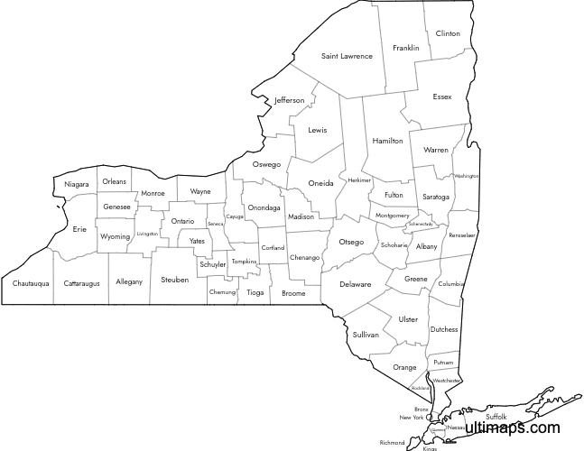 Preview of Labeled Map of New York Counties (A4)