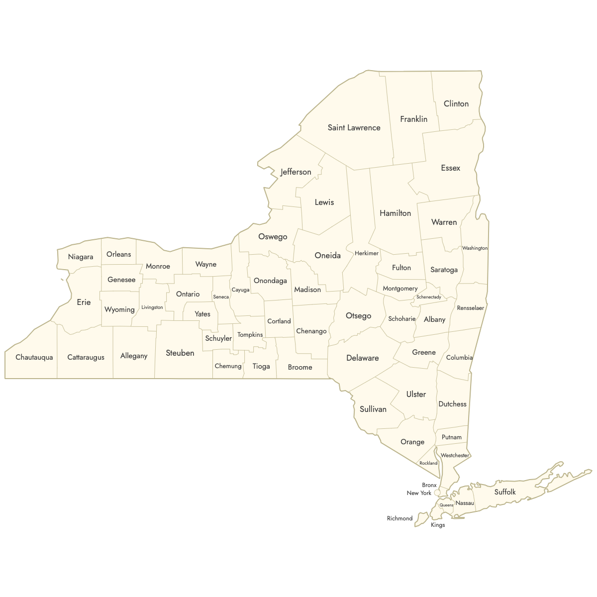 Unstyled Map of New York Counties With Labels