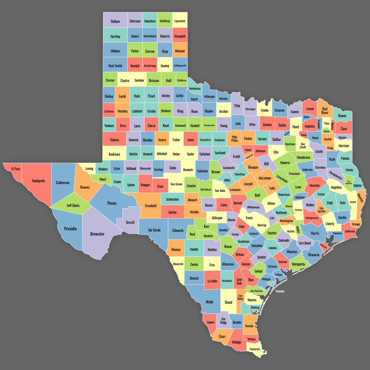 Custom Map of Texas Counties With Labels
