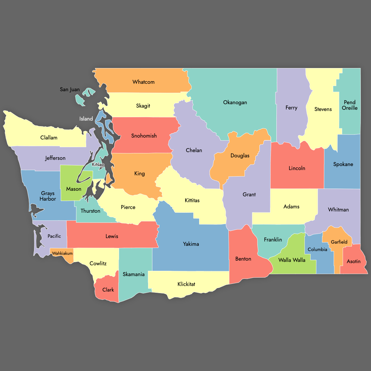 Custom Map of Washington Counties with Labels (Dark Theme)