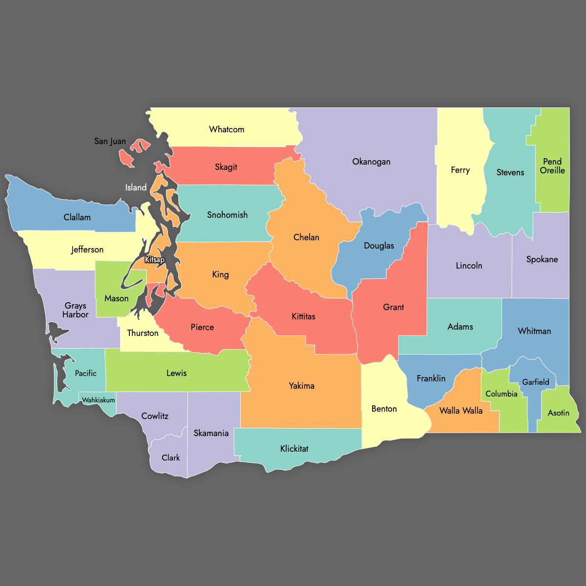 Custom Map of Washington Counties With Labels