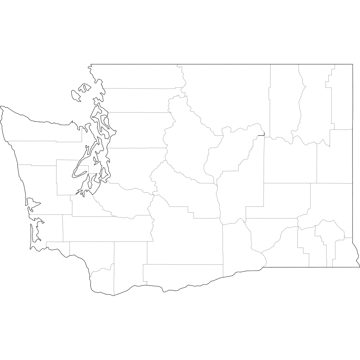 Wireframe Map of Washington Counties